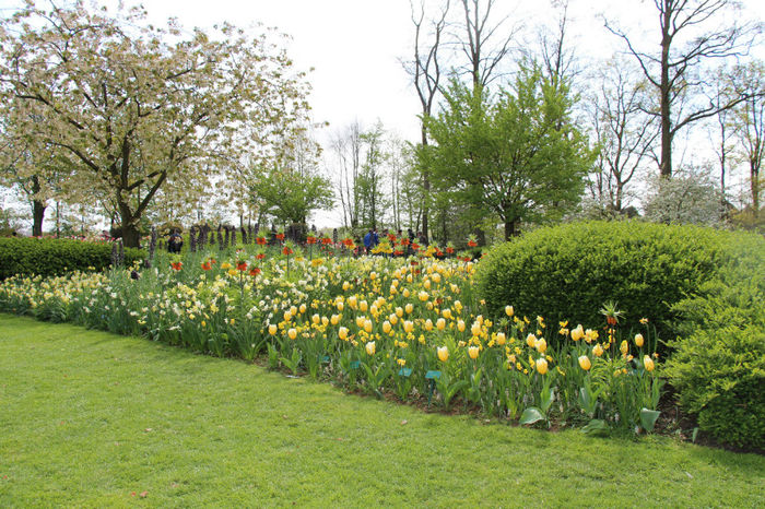 IMG_0226 - Keukenhof 2014