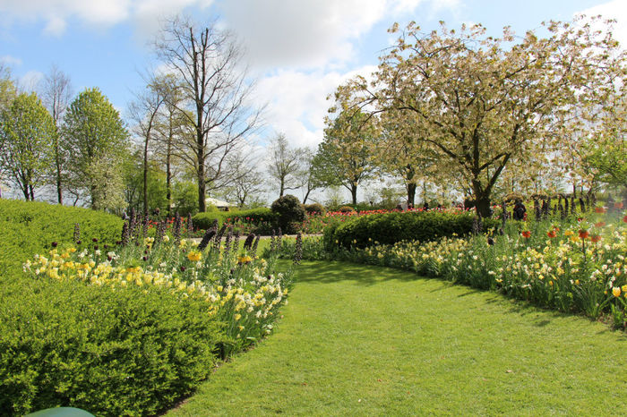 IMG_0227 - Keukenhof 2014
