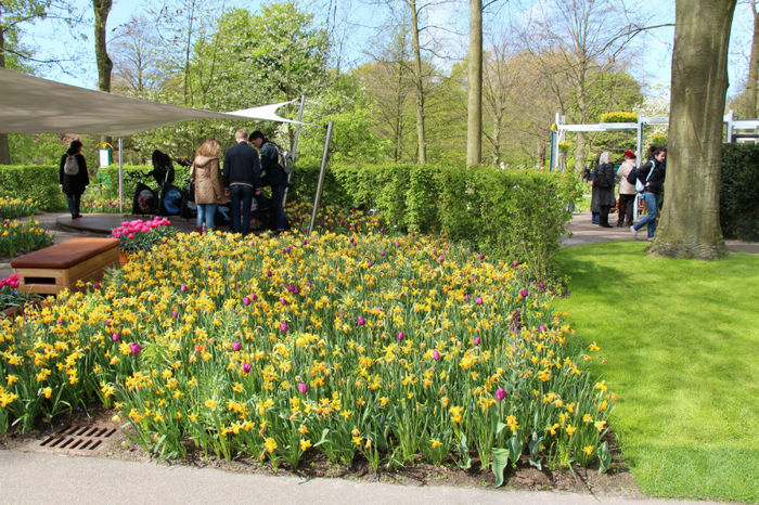 IMG_0271 - Keukenhof 2014