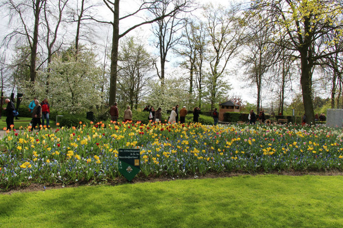IMG_0272 - Keukenhof 2014
