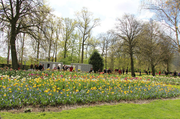 IMG_0273 - Keukenhof 2014