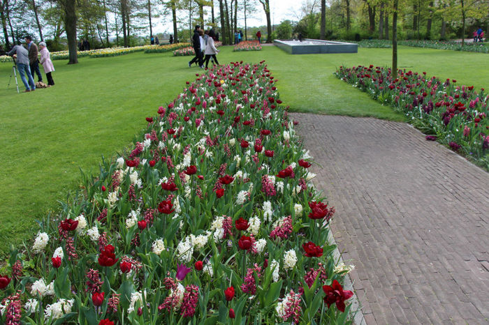 IMG_0282 - Keukenhof 2014