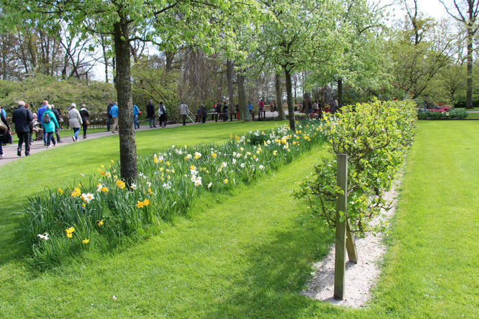 IMG_0284 - Keukenhof 2014