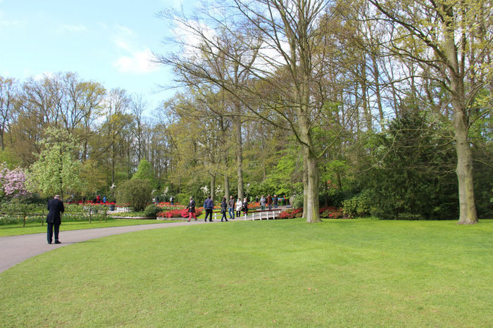 IMG_0286 - Keukenhof 2014
