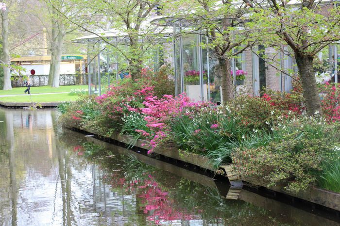 IMG_0325 - Keukenhof 2014
