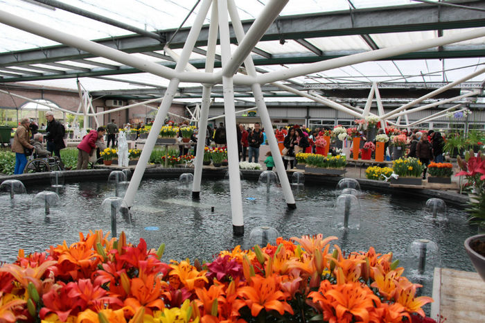 IMG_0371 - Keukenhof 2014