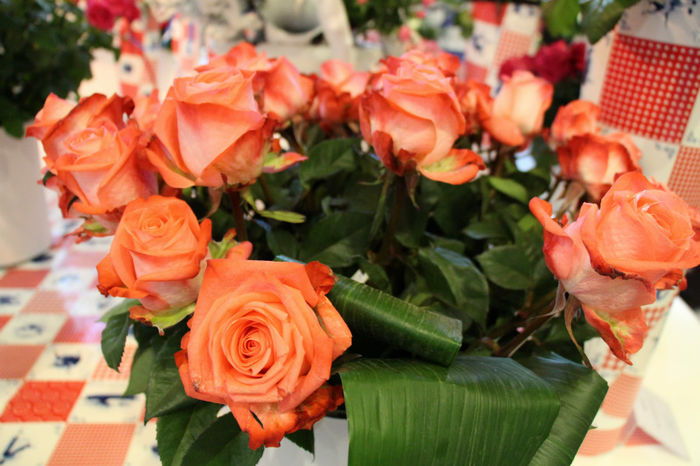 IMG_0449 - Keukenhof 2014