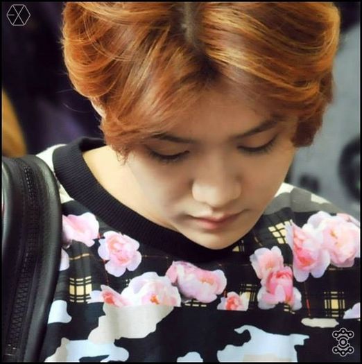 140405 Luhan @ Gimpo Airport Heading to Beijing.031