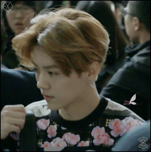 140405 Luhan @ Gimpo Airport Heading to Beijing.041