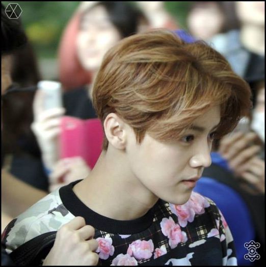 140405 Luhan @ Gimpo Airport Heading to Beijing.051