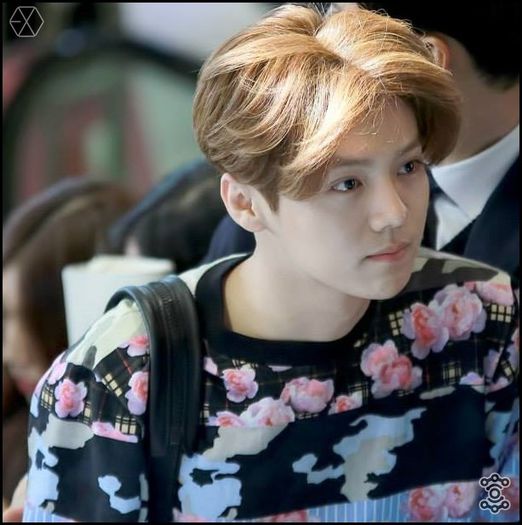140405 Luhan @ Gimpo Airport Heading to Beijing.081