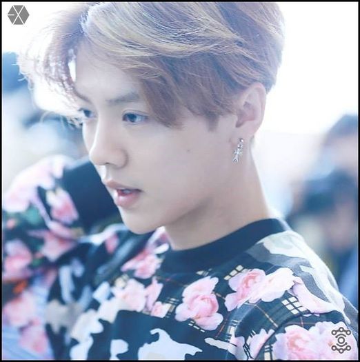 140405 Luhan @ Gimpo Airport Heading to Beijing.111 - exo - 140405 Luhan - Gimpo Airport Heading to Beijing