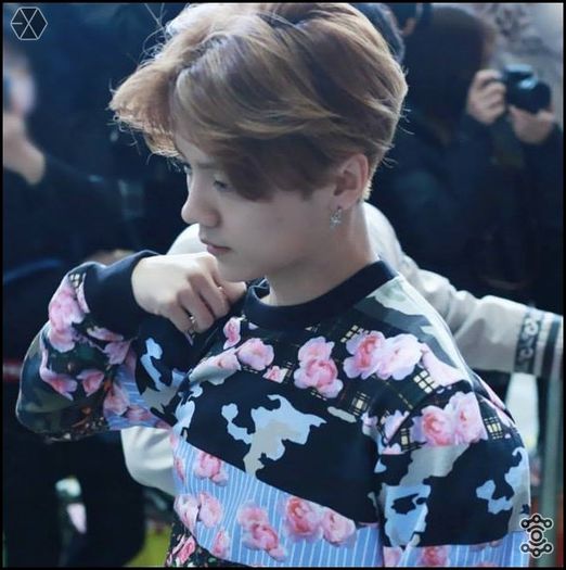 140405 Luhan @ Gimpo Airport Heading to Beijing.116 - exo - 140405 Luhan - Gimpo Airport Heading to Beijing