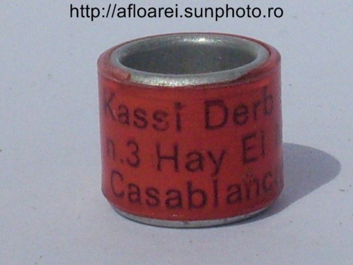 kassi derb adil - inele colectie-Pigeon Rings Collection