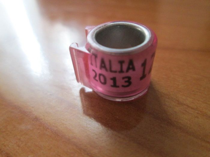ITALIA 2013 - colectie inele