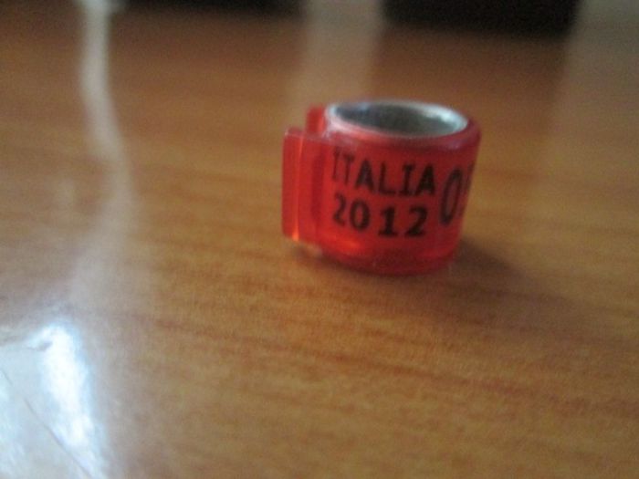 ITALIA 2012 - colectie inele