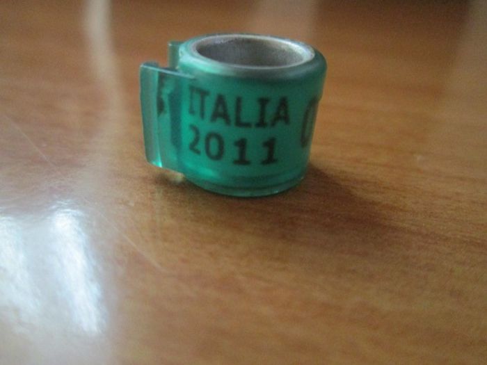 ITALIA 2011 - colectie inele