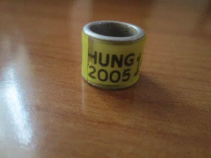 HUNG 2005