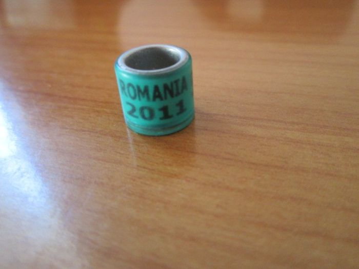 ROMANIA 2011