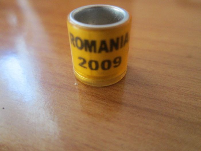 ROMANIA 2009