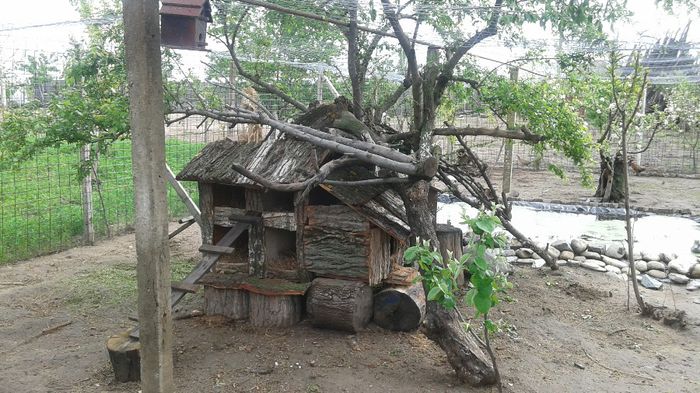 casa noua