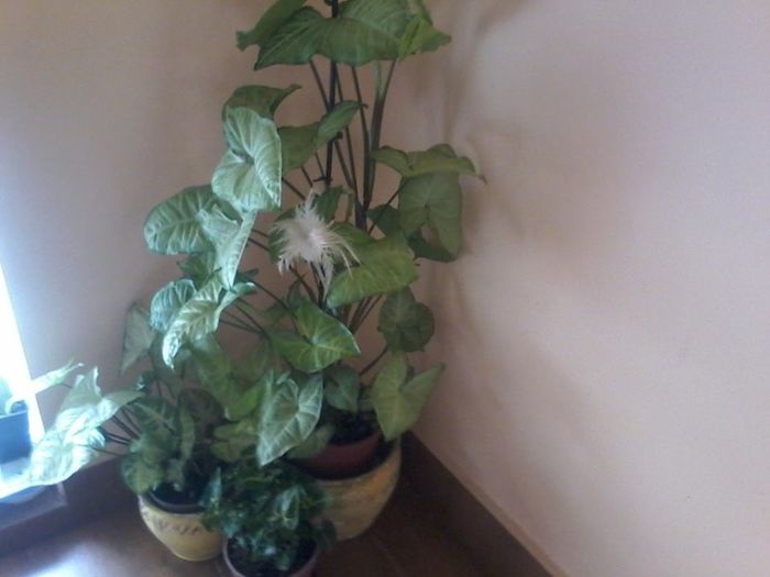 10273442_681065821931422_7245149612521101171_n