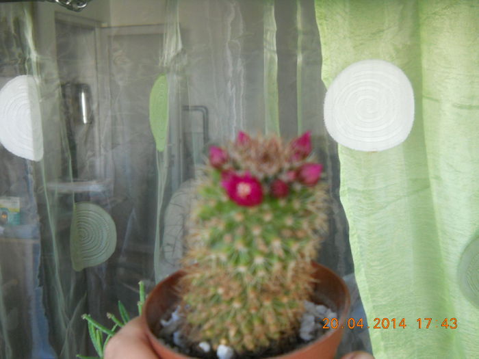 le 003 - APRILIE 2014