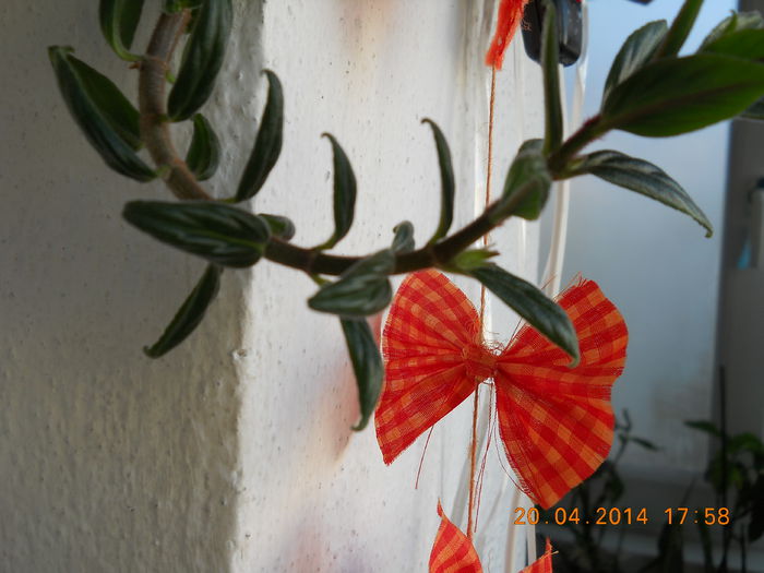multumesc Stefania - APRILIE 2014
