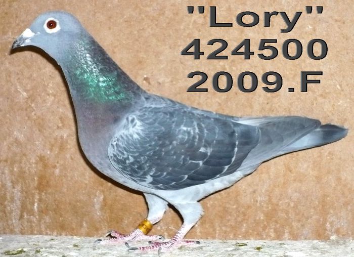 2009.424500.F Lory