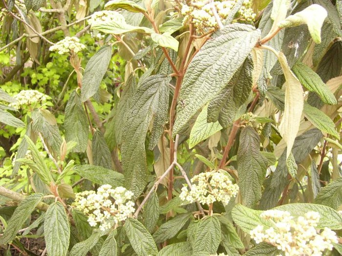 P1200304