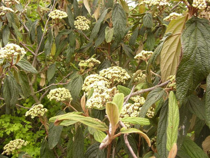 P1200305