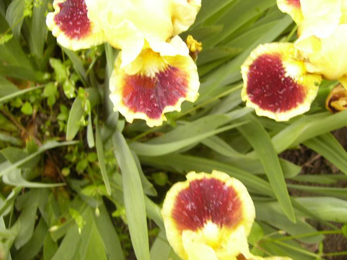 P1200311