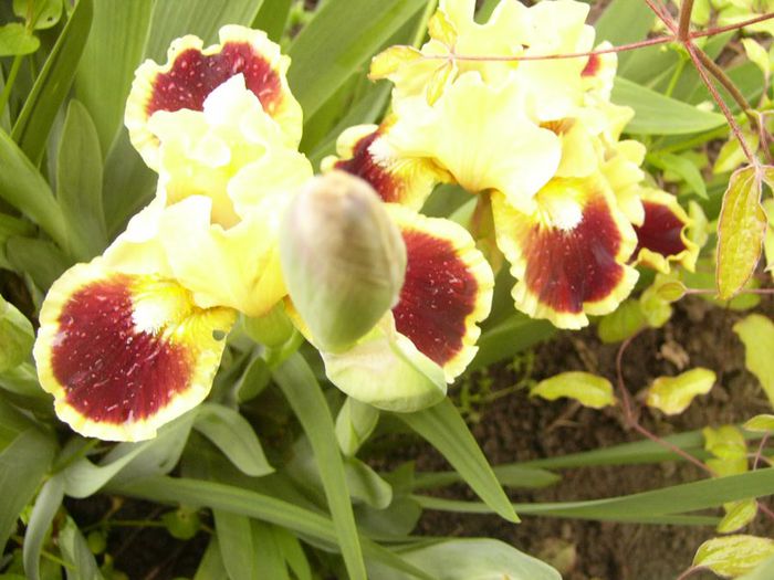 P1200313