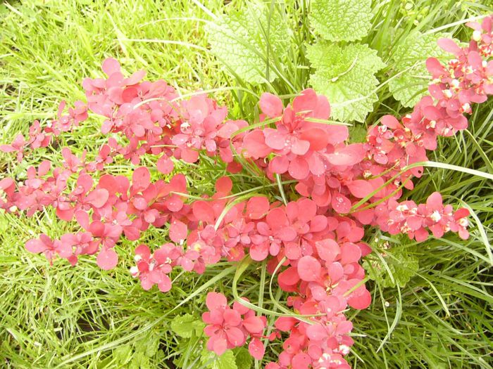 P1200329