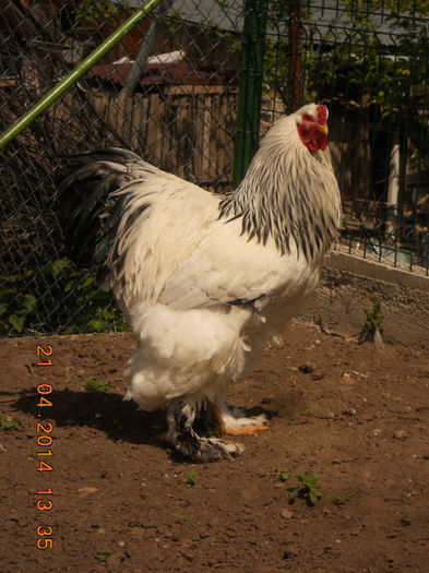 http:mariusvinga.sunphoto.ro