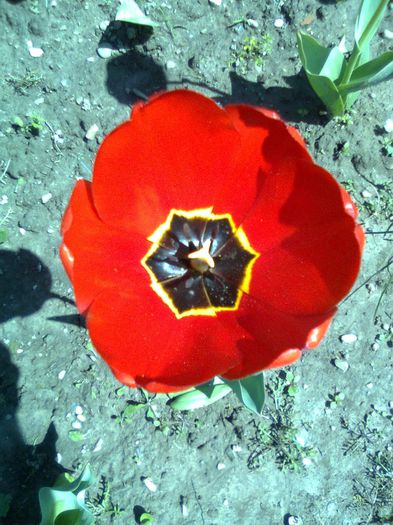 DOC POZE 066
