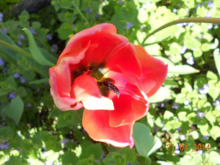 DSCN4689