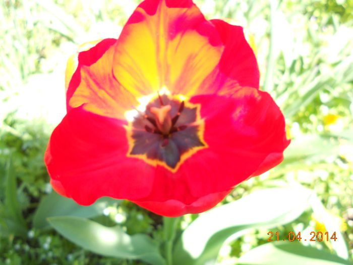 DSCN4697