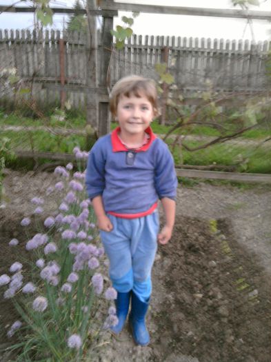 Fotografie292-allium