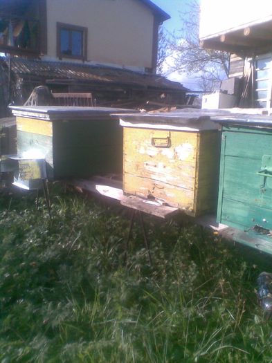 Imag062 - apicultura 2014