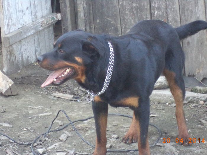 billy 1an