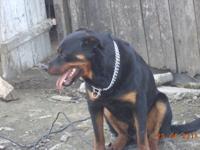 billy 1an