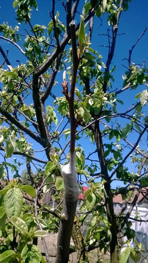 WP_20140421_057