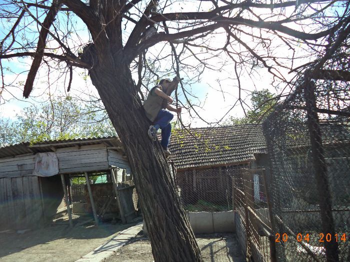 DSC00896 - FAMILIA MEA