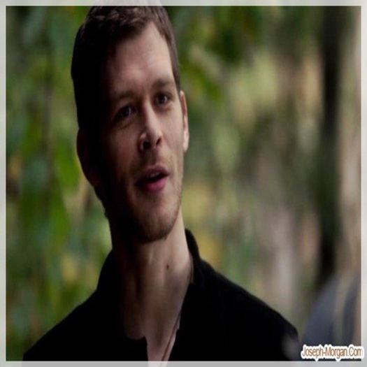 █ ▄→  trandafiras? mooooooorrrr . chiar aşa măi stefan, ce nume ai la poze