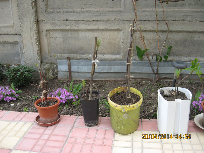 smochinilor, mai sunt 22 intr-un adapost...