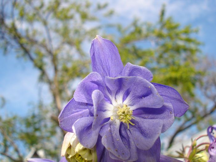 DSC07900 - FLORI 2014
