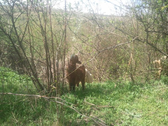 am un tipat de ma stie dintr o mie.