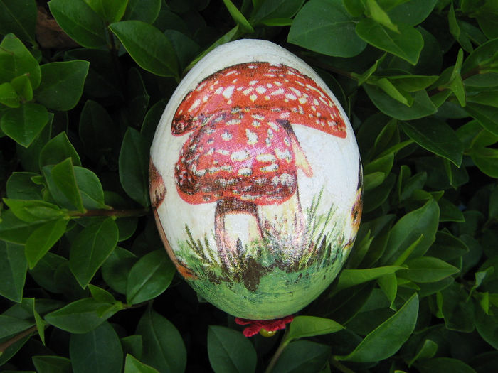 IMG_4282 - 00 Decoupage 2014