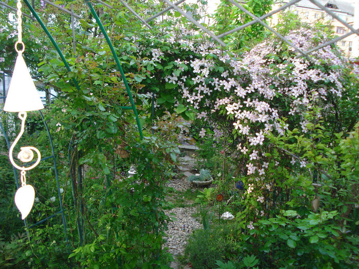 DSC06717 - Gradina in 2014
